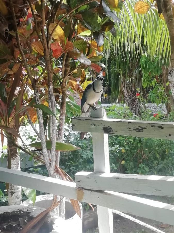 Donde Familia Manito Bed & Breakfast Paquera Bagian luar foto