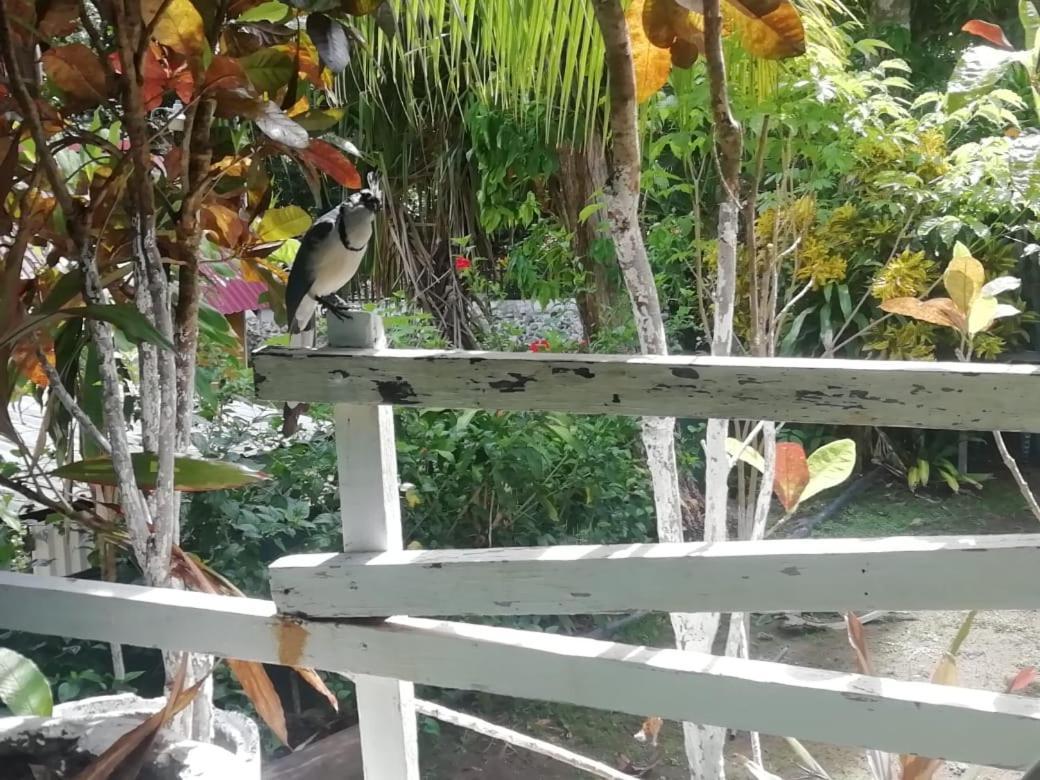 Donde Familia Manito Bed & Breakfast Paquera Bagian luar foto