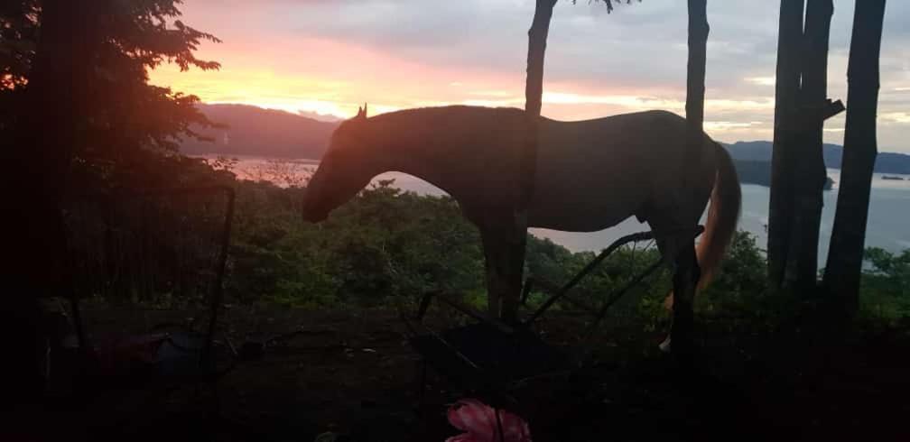 Donde Familia Manito Bed & Breakfast Paquera Bagian luar foto